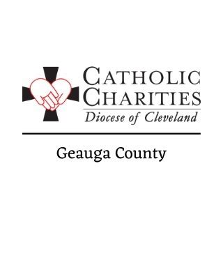 catholic charities painesville ohio|Lake/Geauga County .